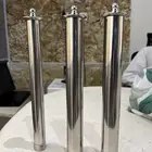 رأس نافوره كروي ( نبات الفطر )