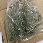 بعيثران جبلي