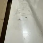 باب شنطة لاندكروزر