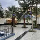 للاعياد والمناسبات الخاصه