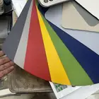 فينيل سادة بلجيكي