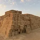 برسيم طيب شدد وورق وتبن شعير