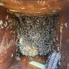 صالون للبيع