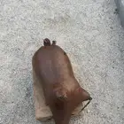 شنه تمر صفري جودة عالية