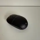 فأرة للبيع 20