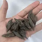 عود تايقر فتنامي درجه اولى