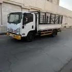دينا ايسيزو2015