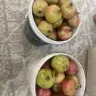 رمان جوف ال معمر