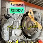 قير بكسات مازدا