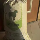 حناء طبيعي 100 100