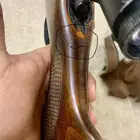 بندق صيد