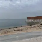 ارصفه وربراب بحري