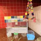 قفص طيور كنيور والعاب ببغاء