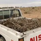 حوض ددسن غماره للبيع 91