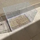 قفص