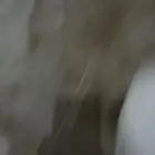 طلين حريات