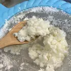 كفير قطر هندي