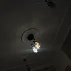 نجف