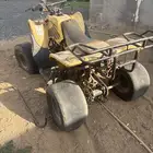 دباب اربع كفارت تيواني