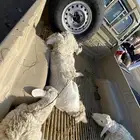 خرفان حريات