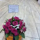 مندوب هدايا