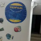 خيبر قريه الصلصله