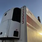 تيدر براد شيرو