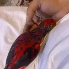 فرخ لوري من اندر الوان واحجام اللوري بلوستريك