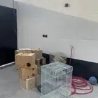 أقفاص وبياضات