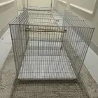 قفص مطير