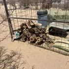 حطب