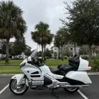 قولد وينق 2017