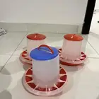 معالف حمام ودجاج