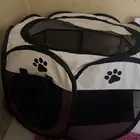 حزمه القفص قطط نضيف على سوم