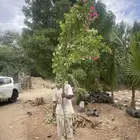 مشاتل الجملة