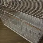 قفص