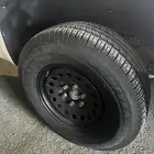 جنوط ونيت