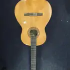 جيتار باغراضه