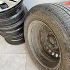 جنوط النترا