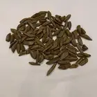 عود مروكي