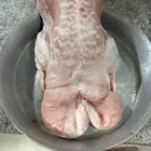 نعيم كناور ونعيم وسط وحريات جبر