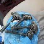 كويلات صني 2019