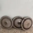 طيس كرسيدا وكاله