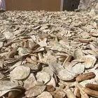 خبز حلال نظيف