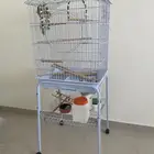 شبك قفص ببغاء