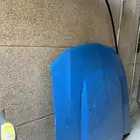 كبوت وكاله جناح