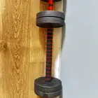 اثقال تصير دامبل و ترايبس قابل ل تفاوض