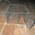 شبك طيور للبيع