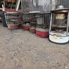 دفايات قاز وكهرب