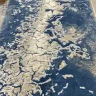 زوليه القفاري 2 في 3 نظيييف